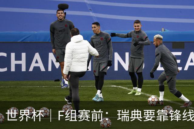 世界杯｜F组赛前：瑞典要靠锋线双星 突尼斯欲出线